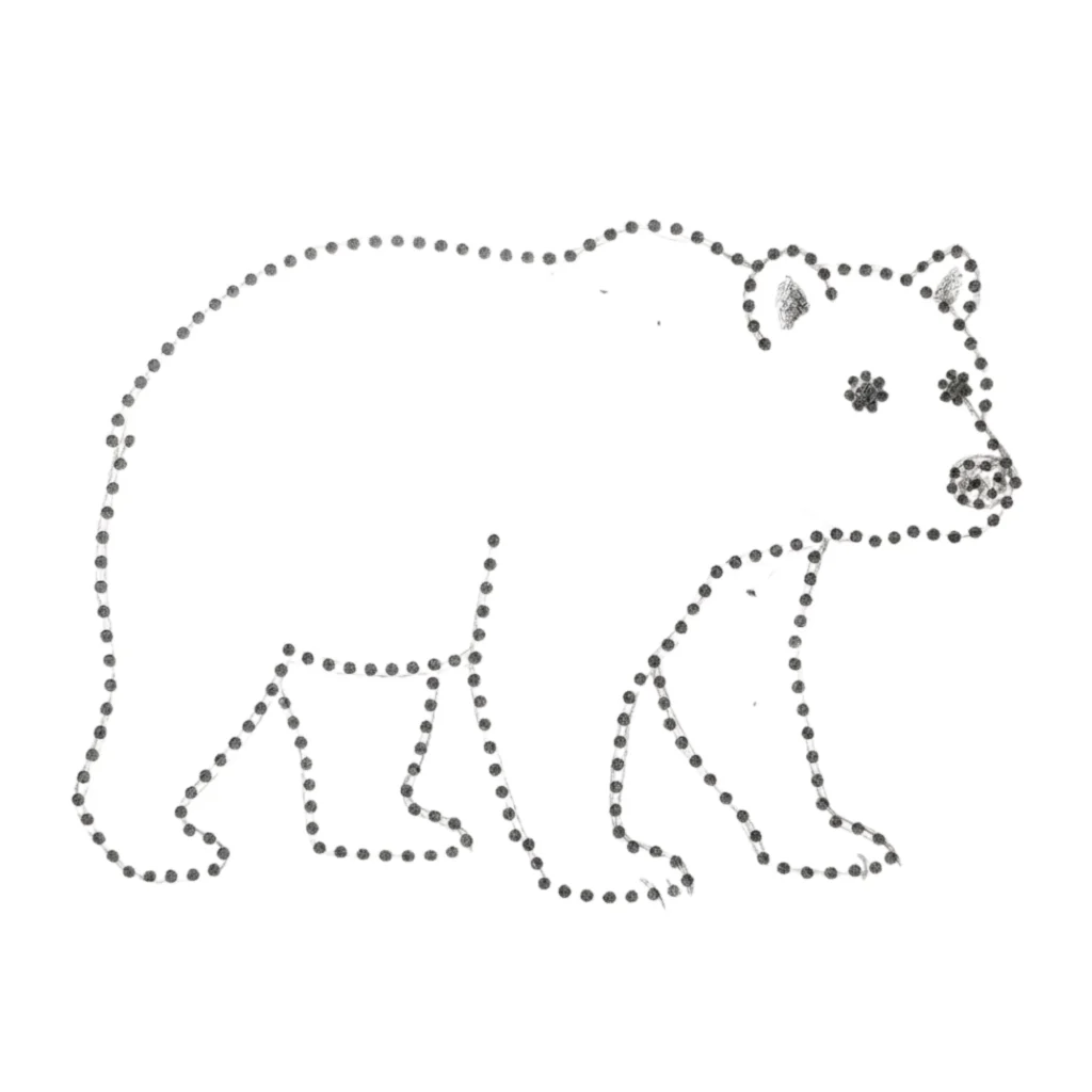 Bear Outline Drawing