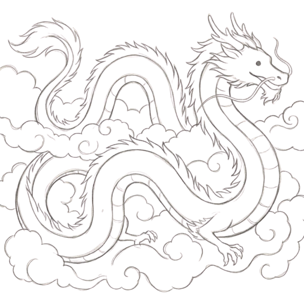 Chinese Dragon Drawing