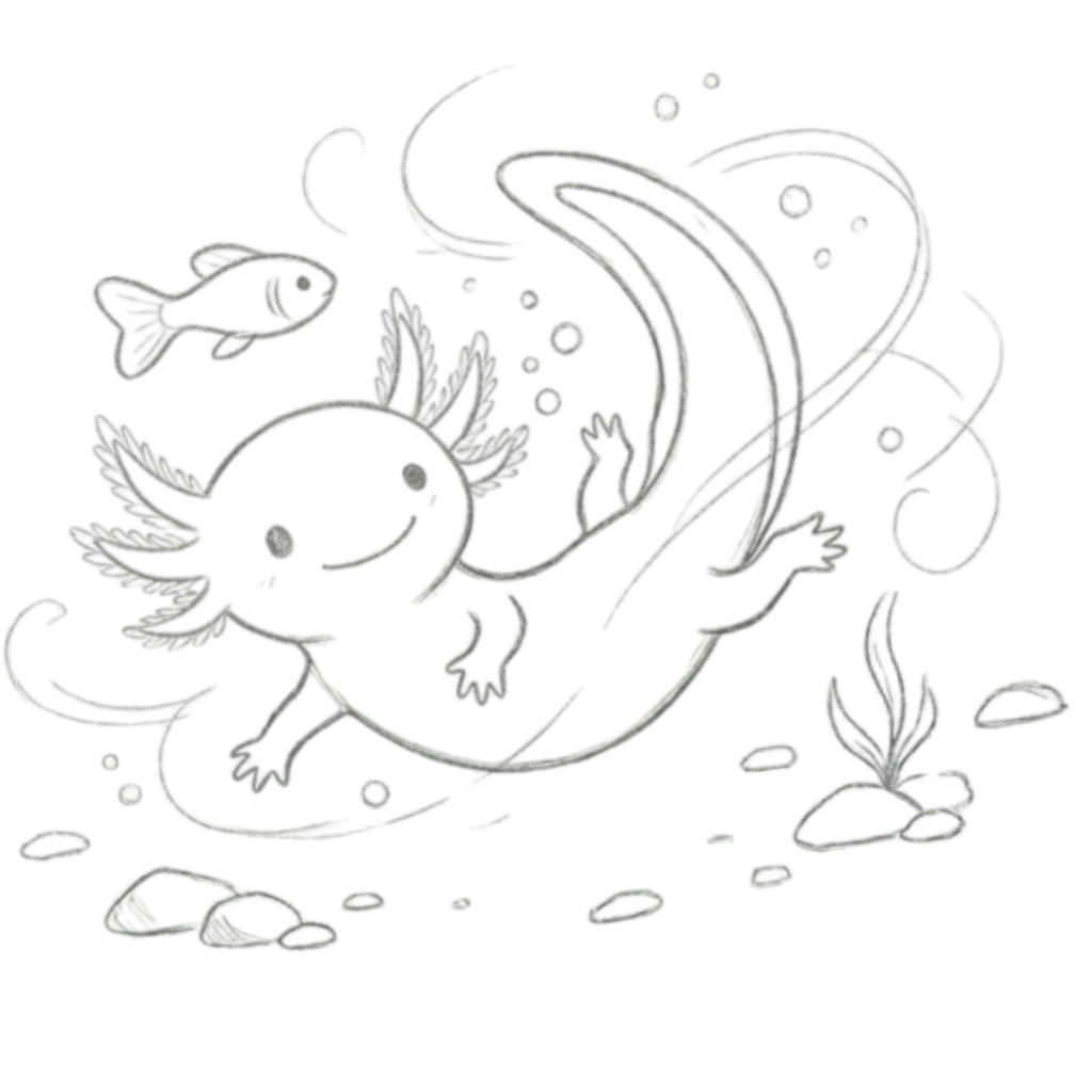 Axolotl with Fish Drawing