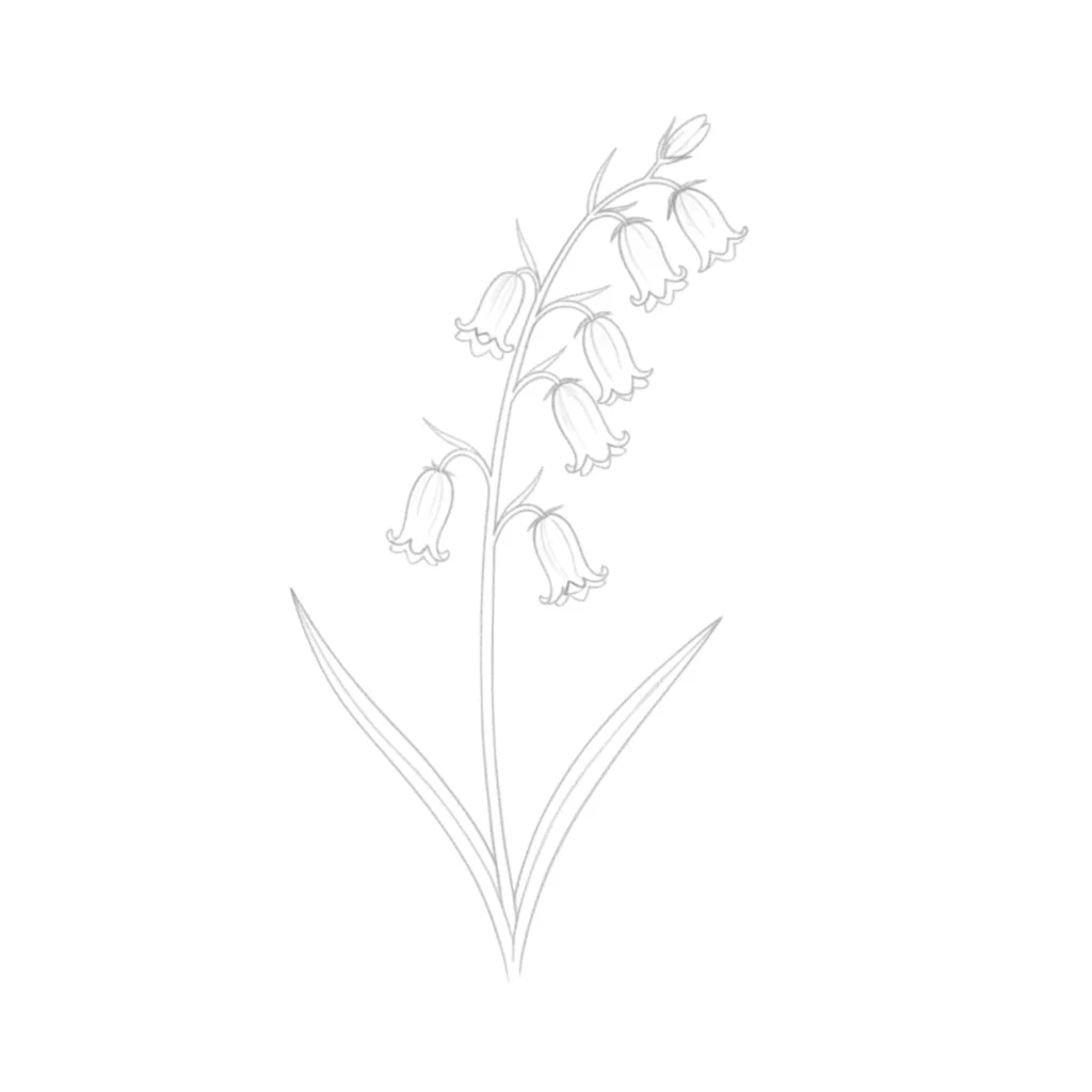 Bluebell Flower
