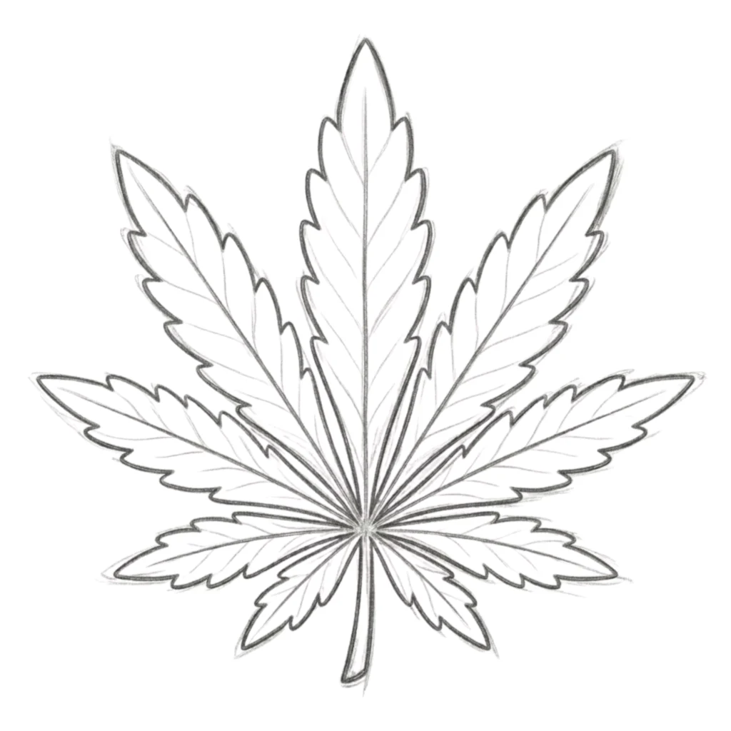 Cannabis Leaf Drawing