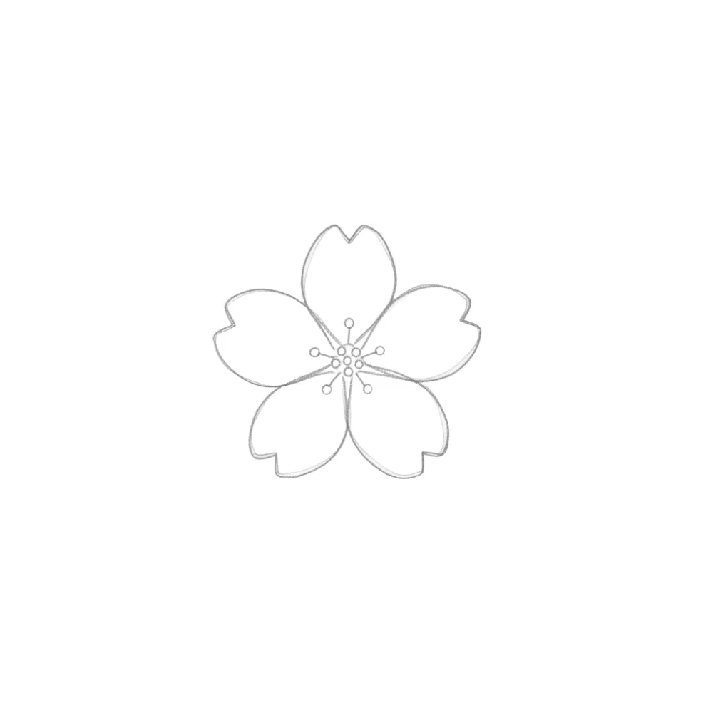 Cherry Blossom Flower