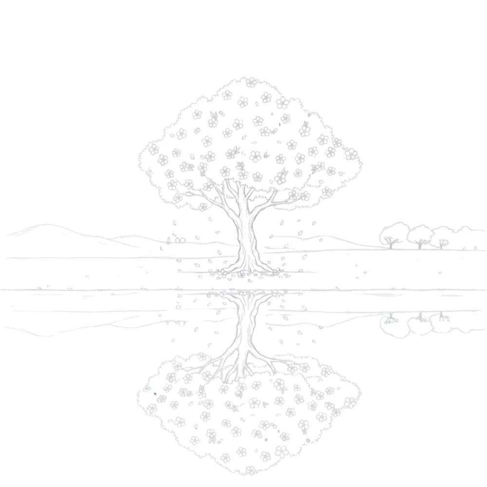 Cherry Blossom Reflection
