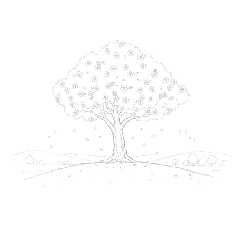 Cherry Blossom Tree on a Hill
