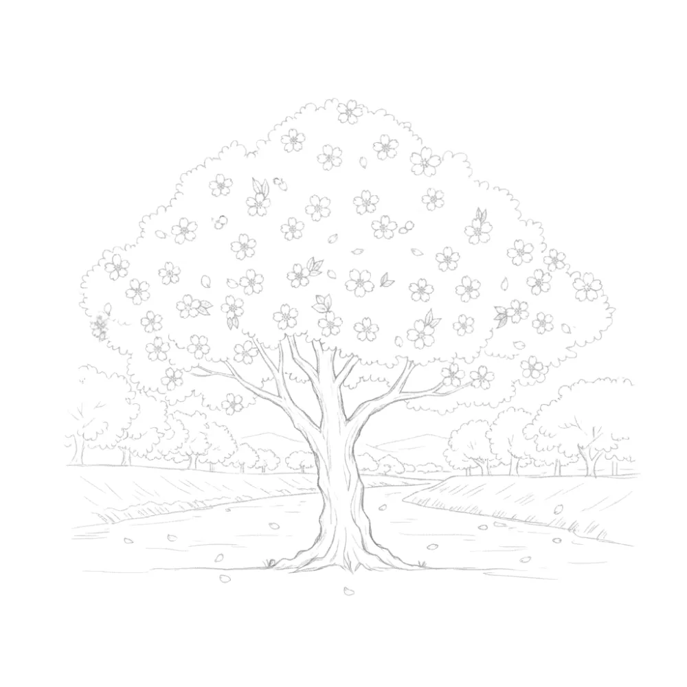 Cherry Blossom Tree by a River