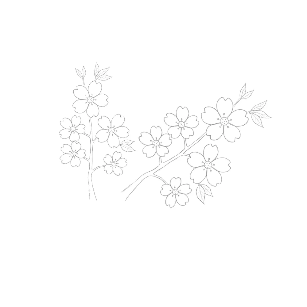 Cherry Blossom Branch