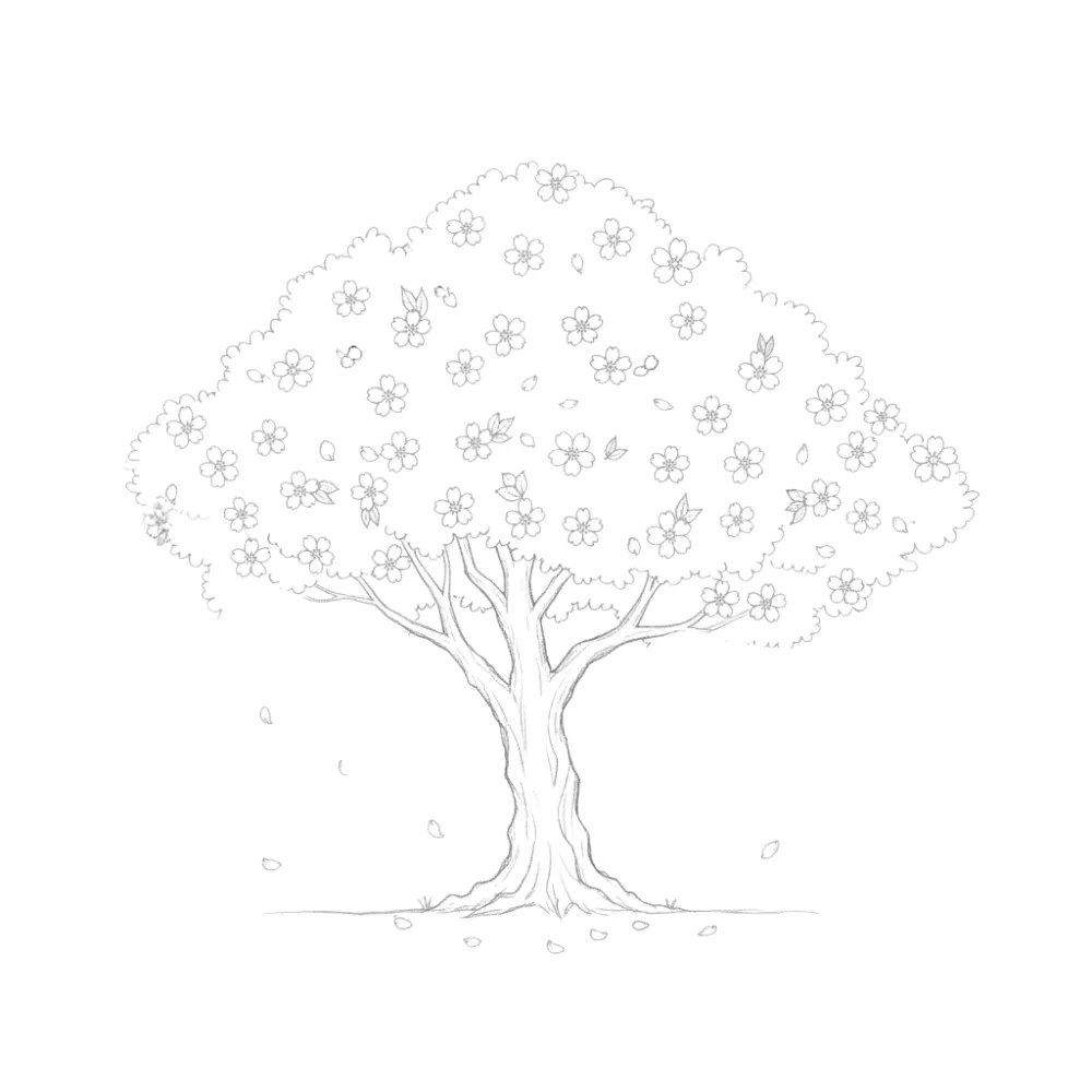 Cherry Blossom Tree