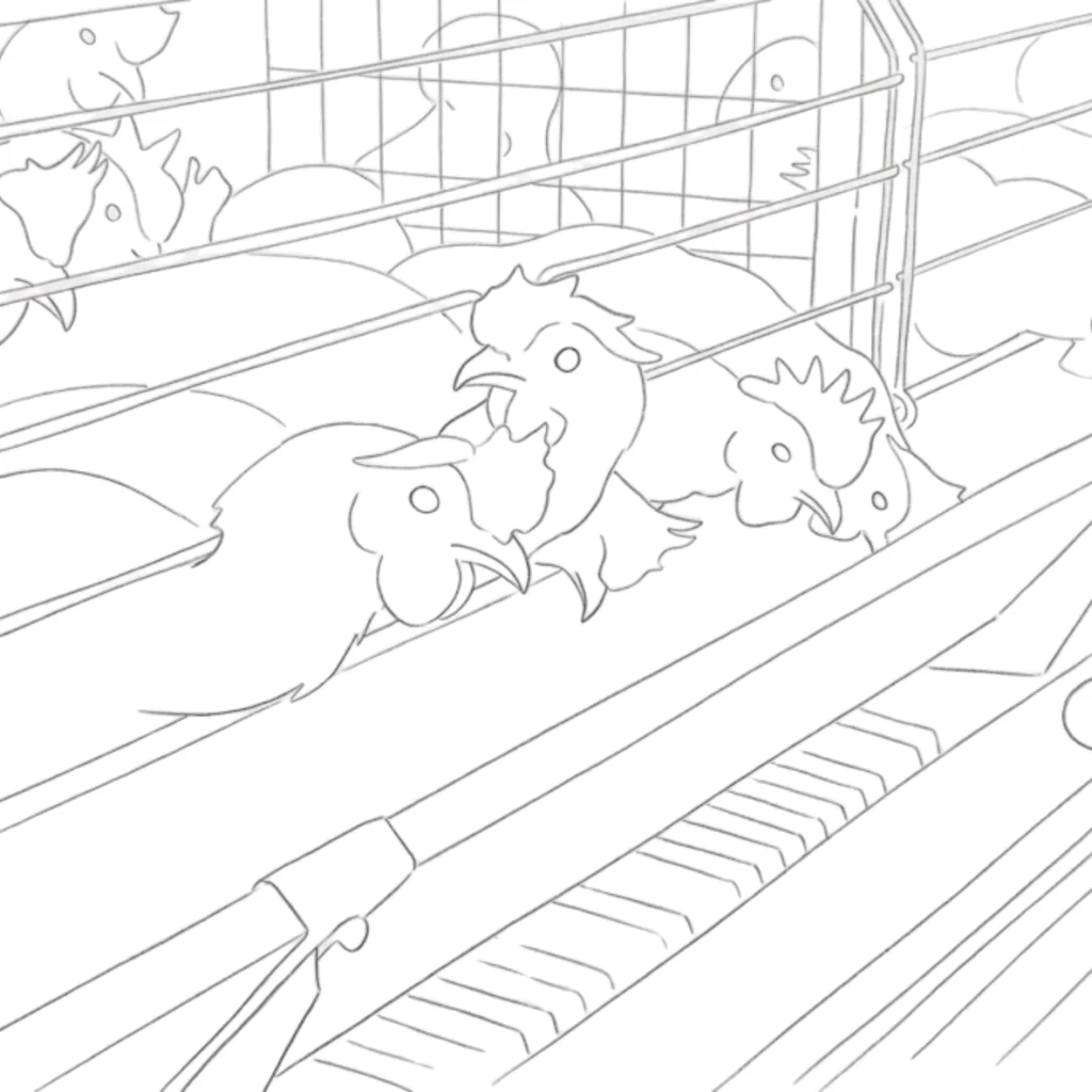 Chicken Farm