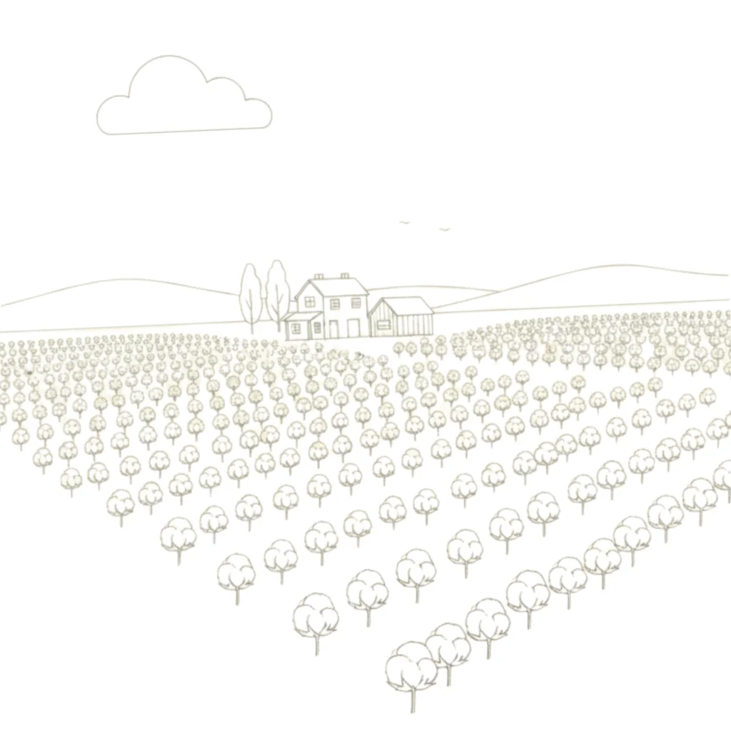 Cotton Farm