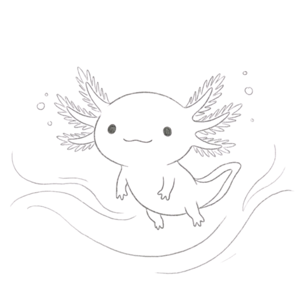 Cute Axolotl Drawing