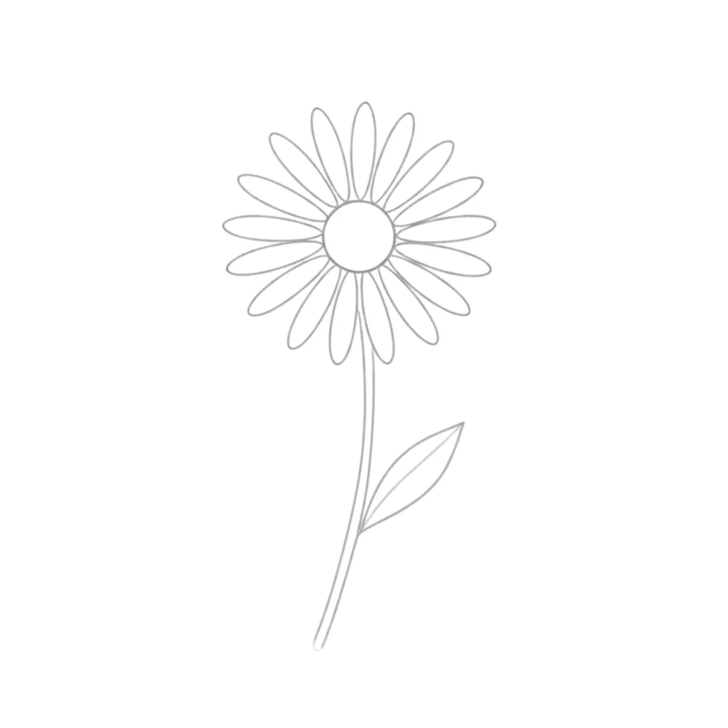 Daisy Flower