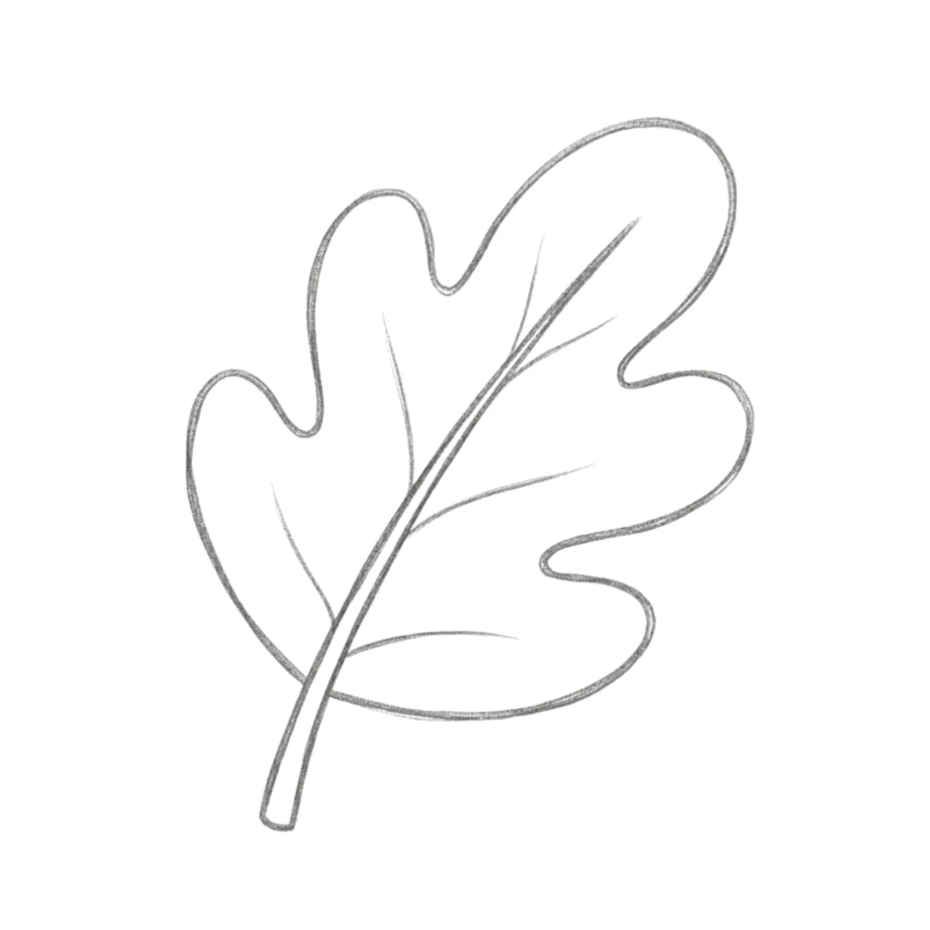 Easy Leaf Drawing