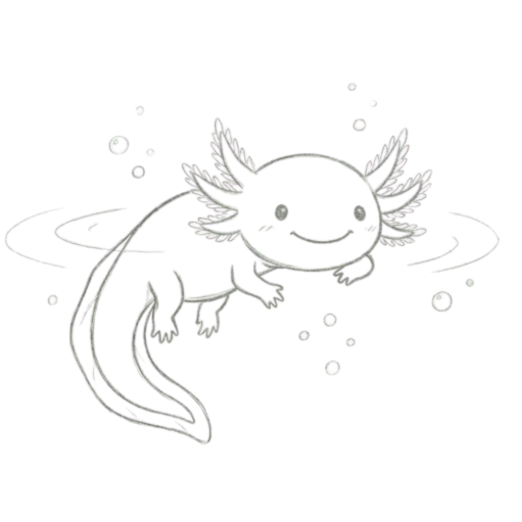 Happy Axolotl Drawing