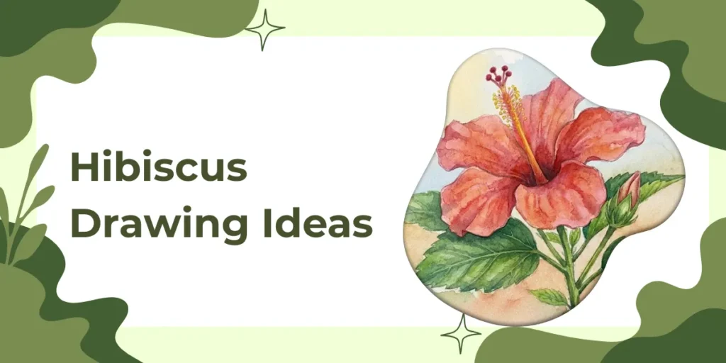 Hibiscus Drawing Ideas
