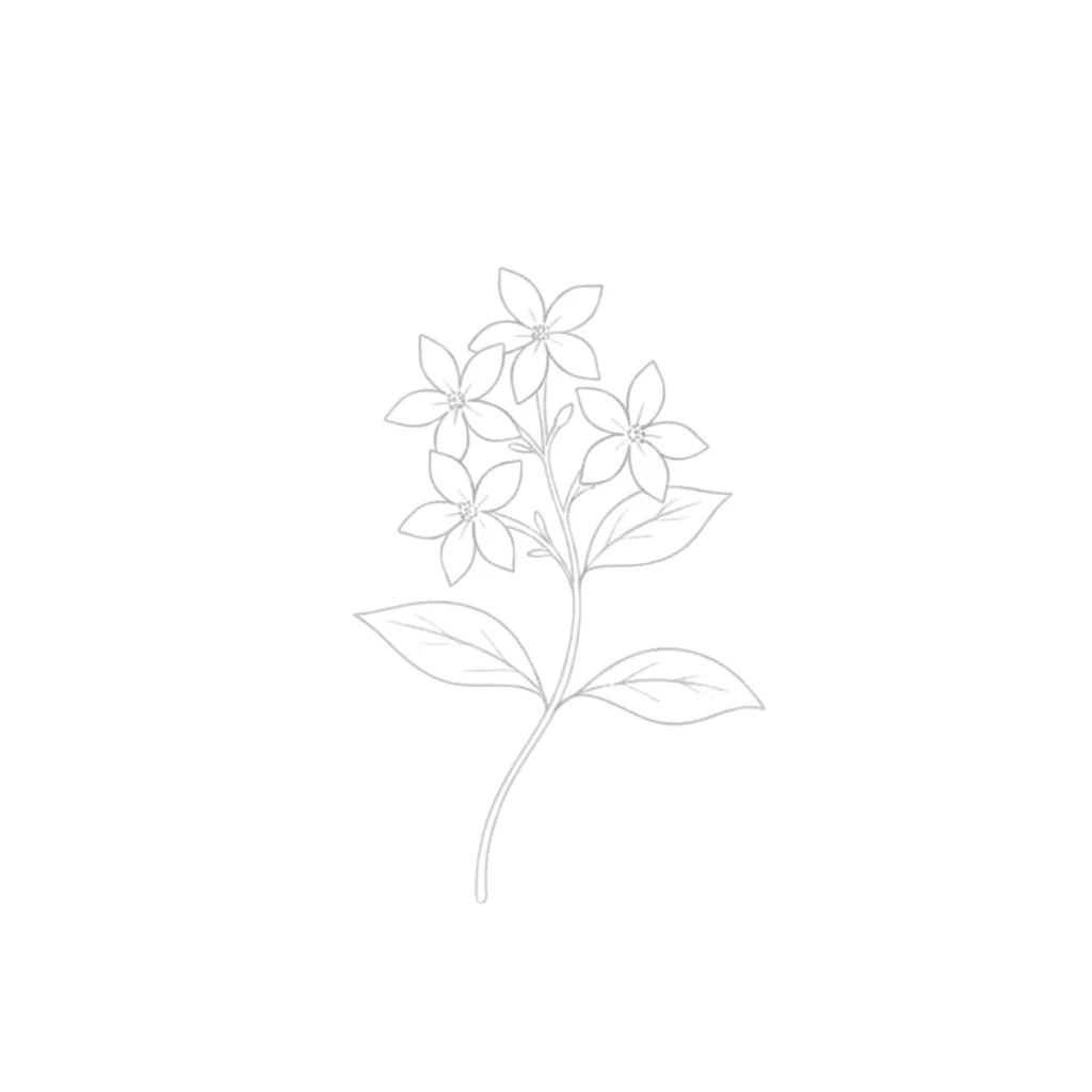 Jasmine Flower