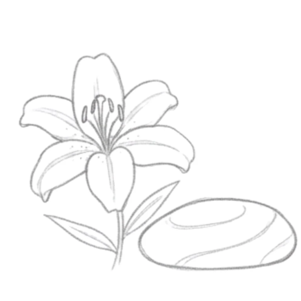 Lily With a Rock