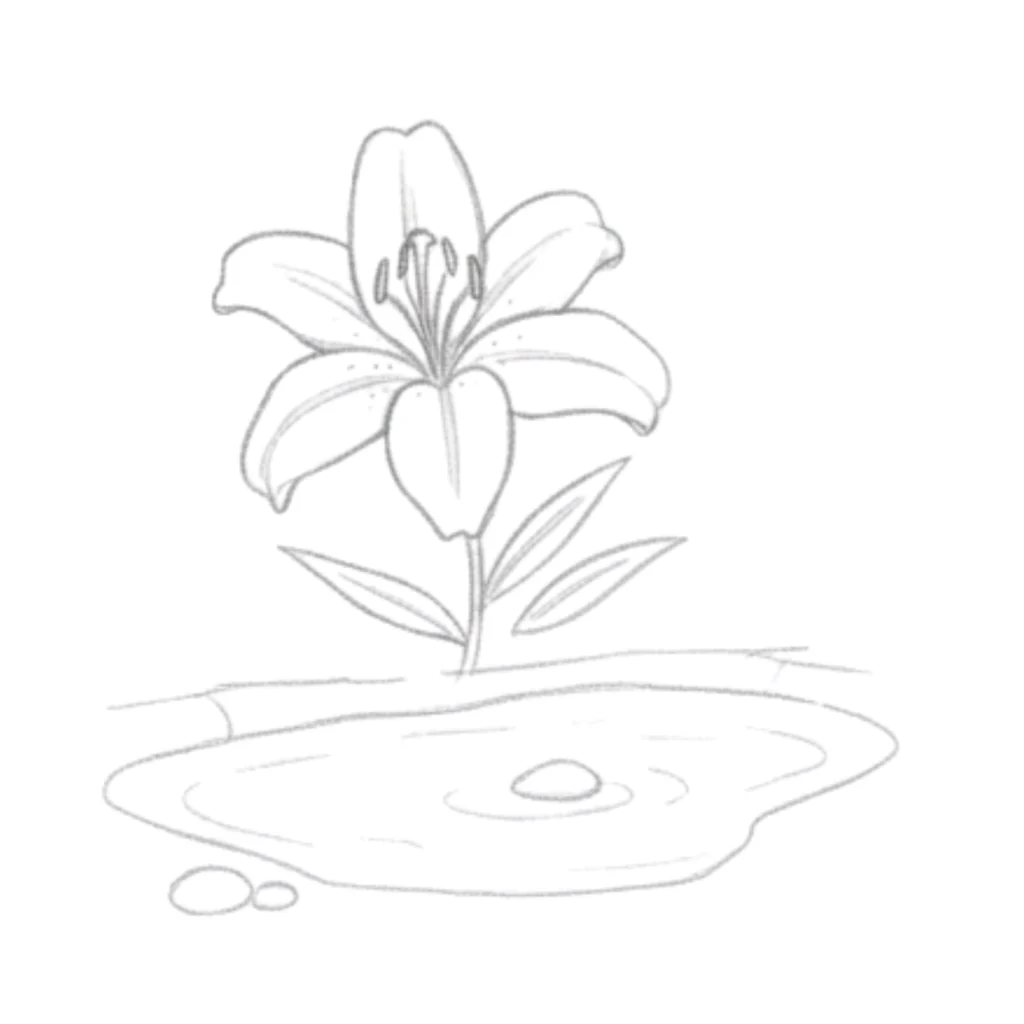 Lily in a Pond