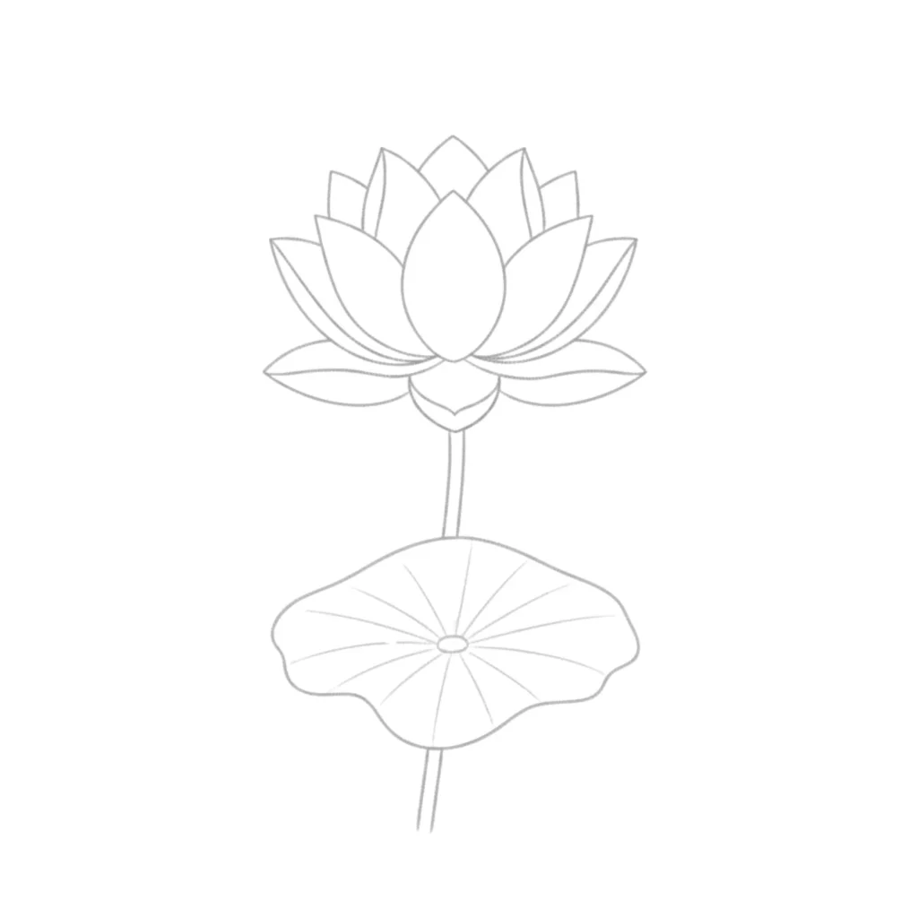 Lotus Flower