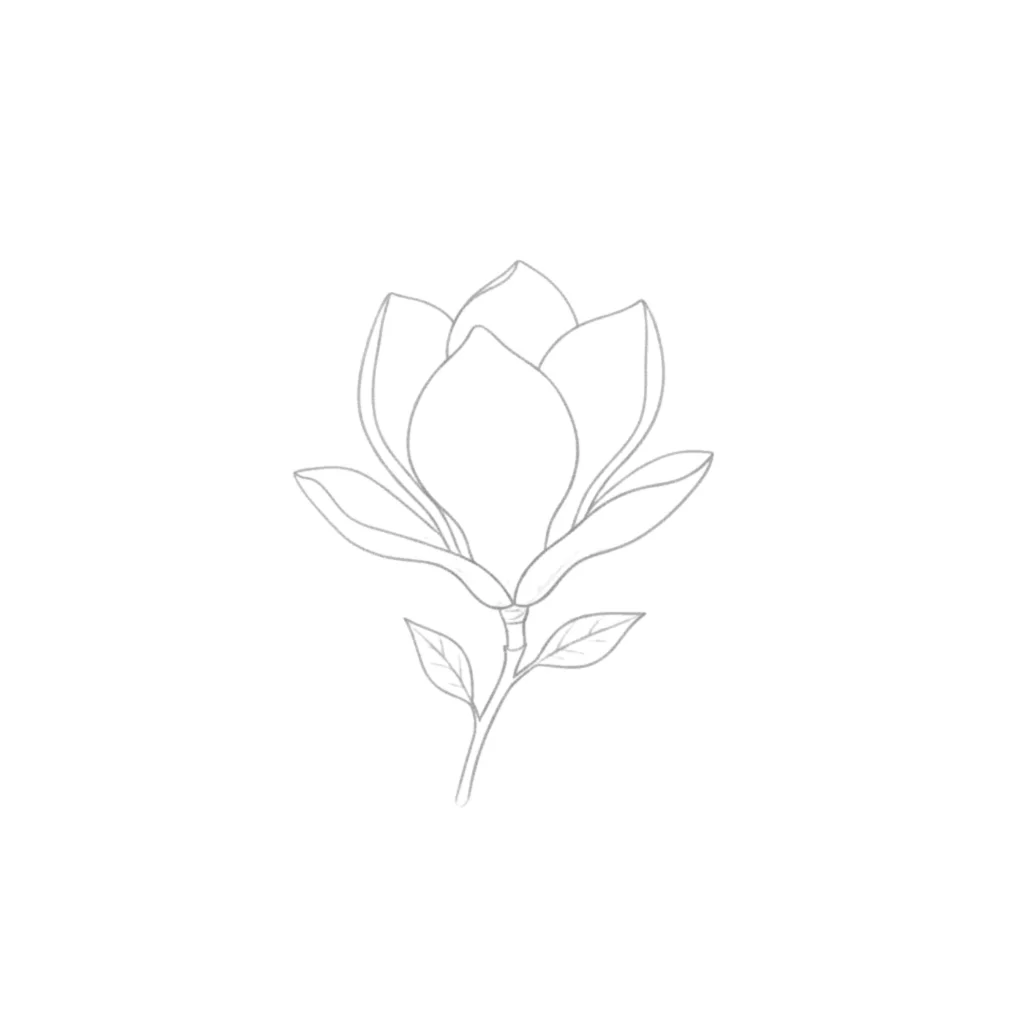 Magnolia Flower