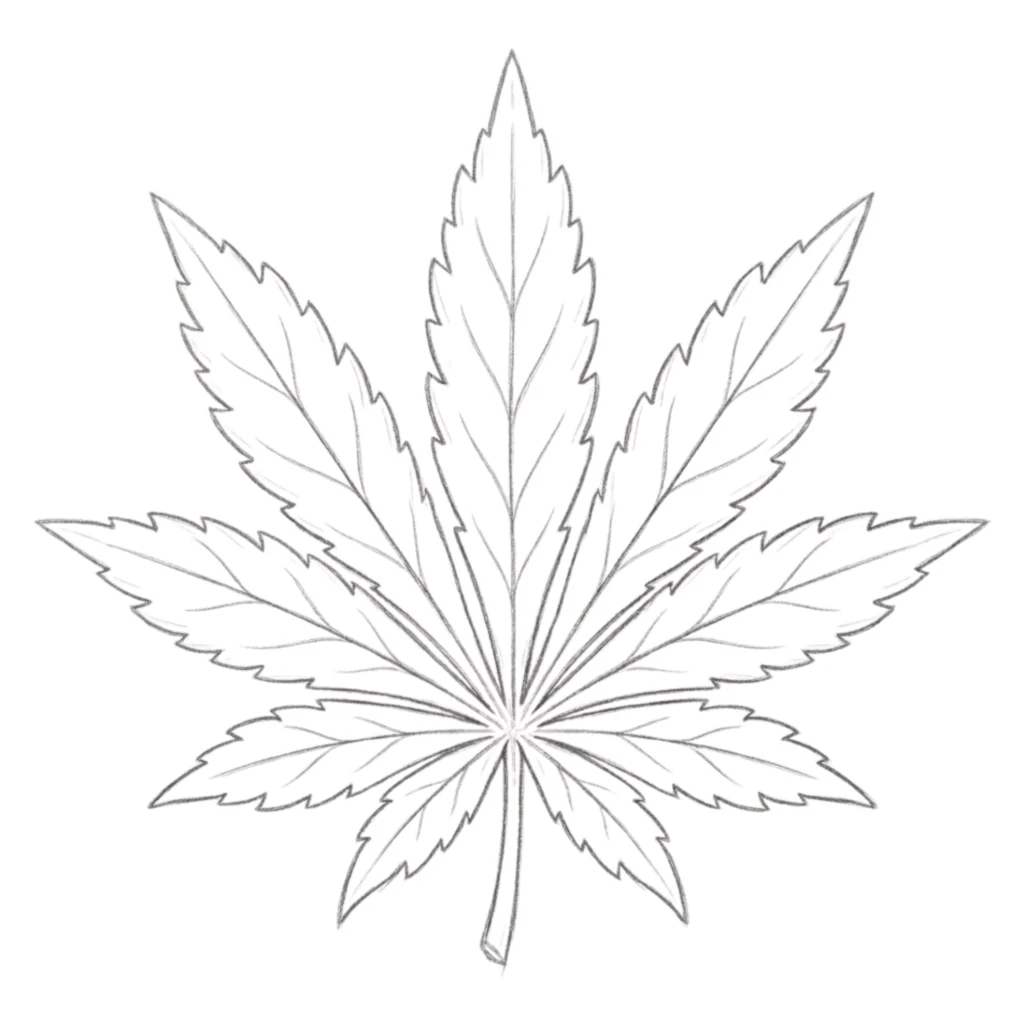 Marijuanas Leaf Drawing