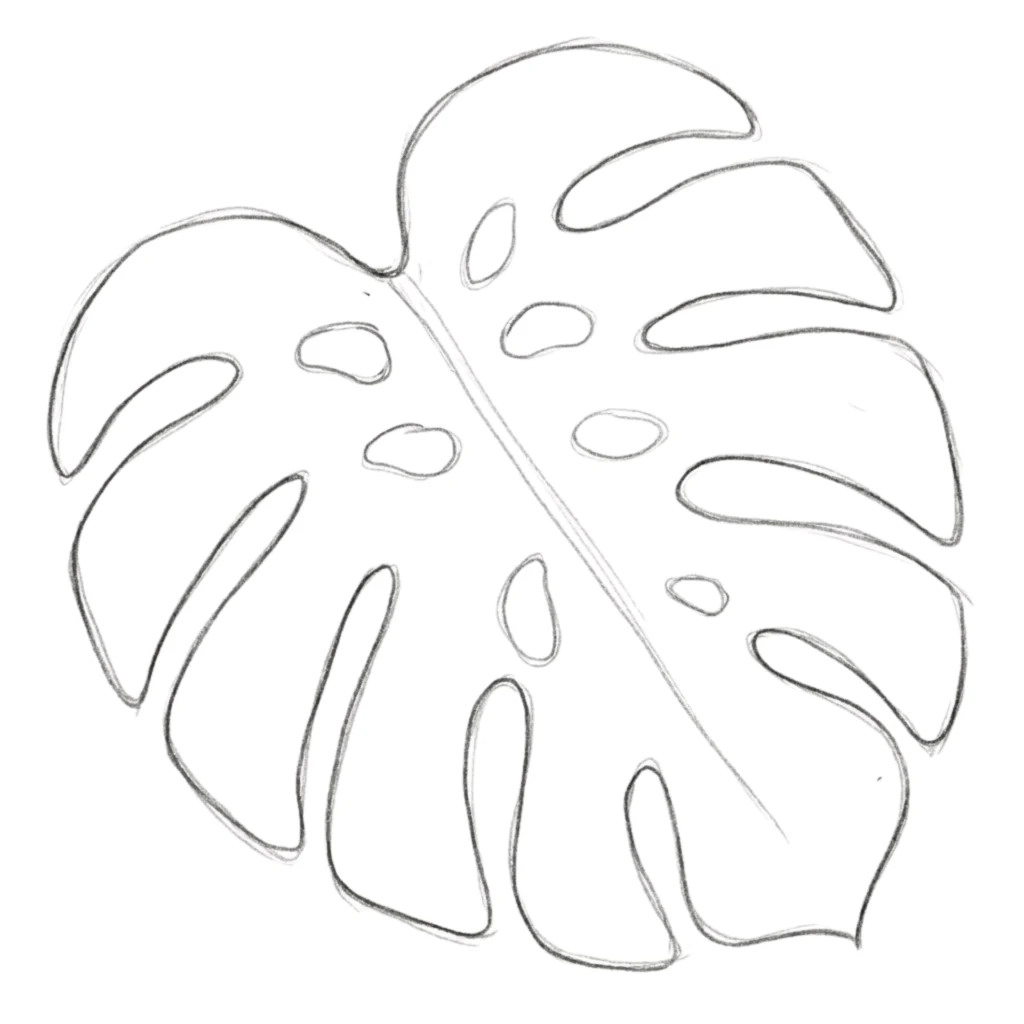 Monstera Leaf Drawing
