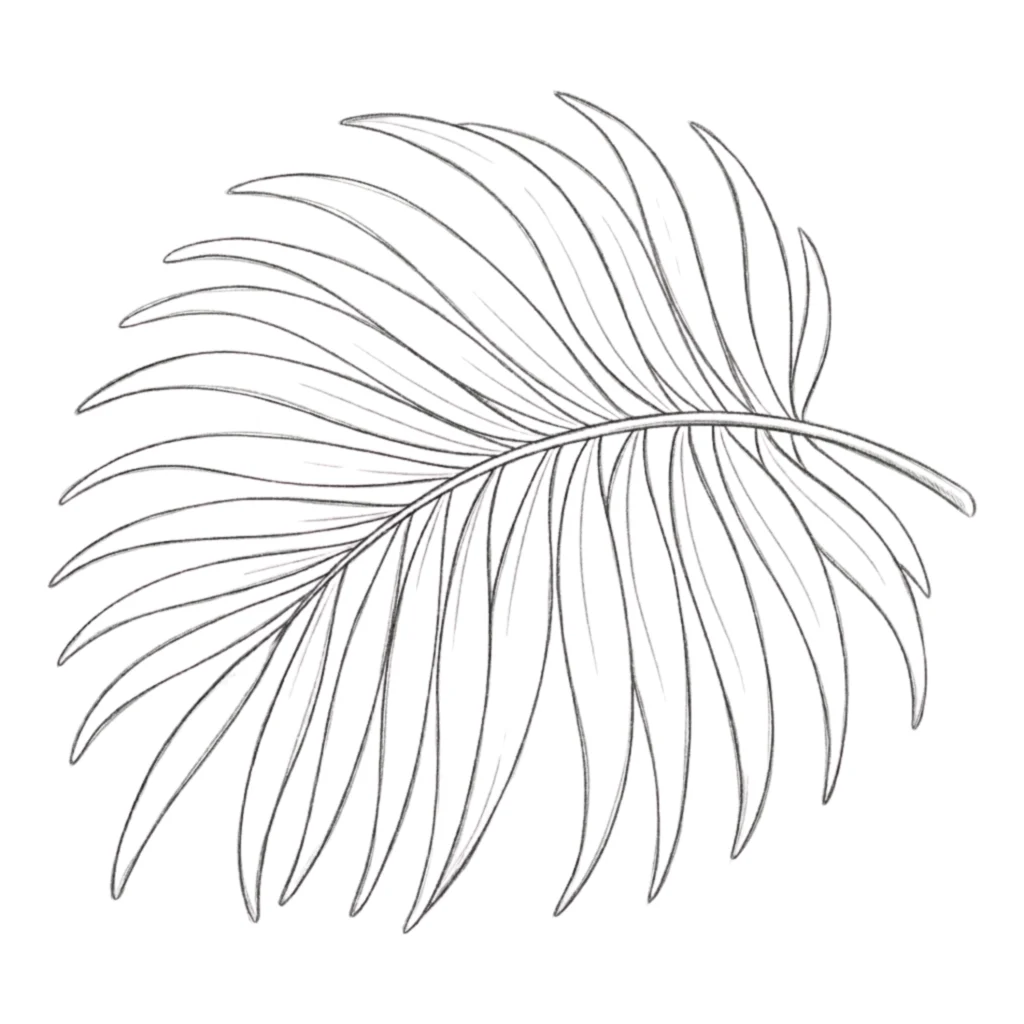Palm Leaf Drawing