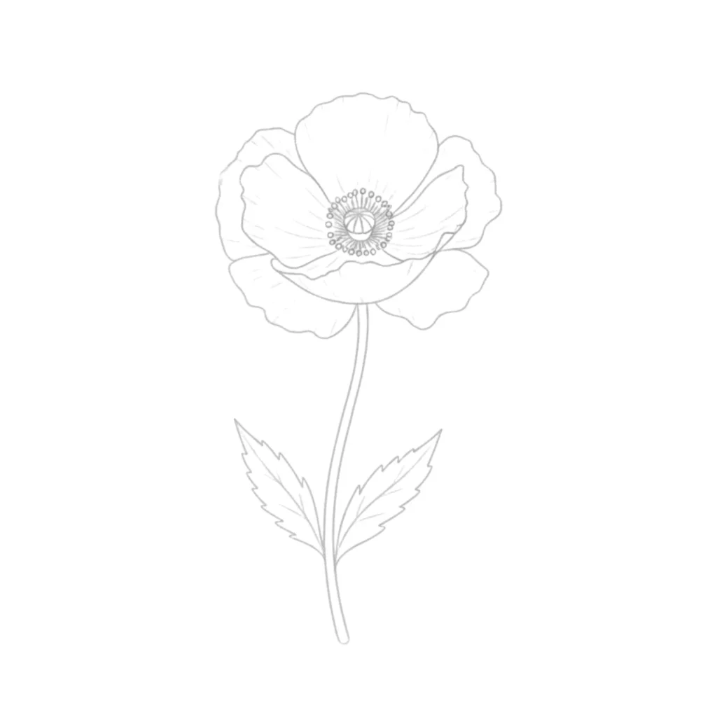 Poppy Flower