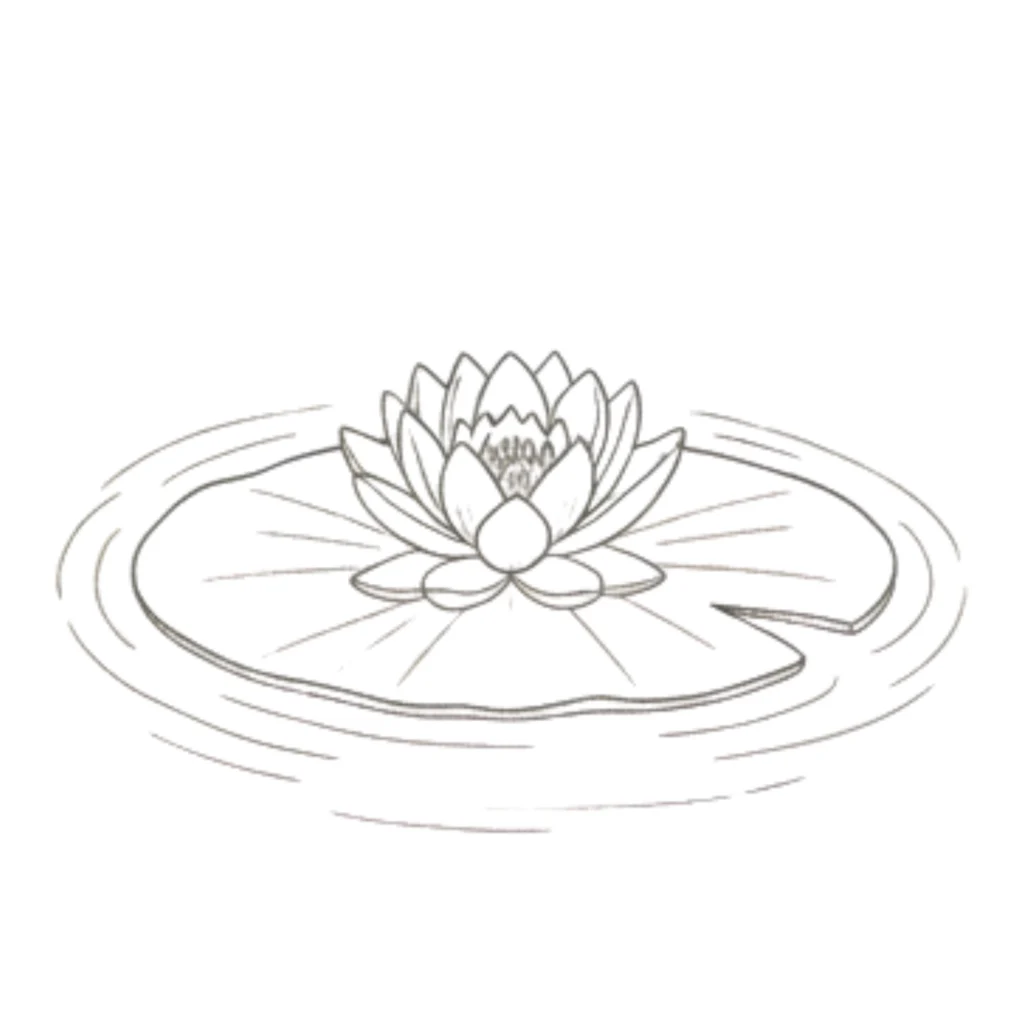 Water Lily