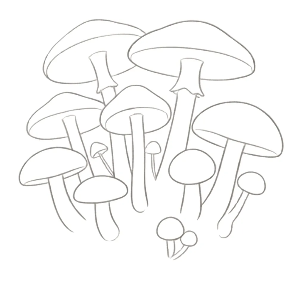 Autumn Drawing of Forest Mushrooms