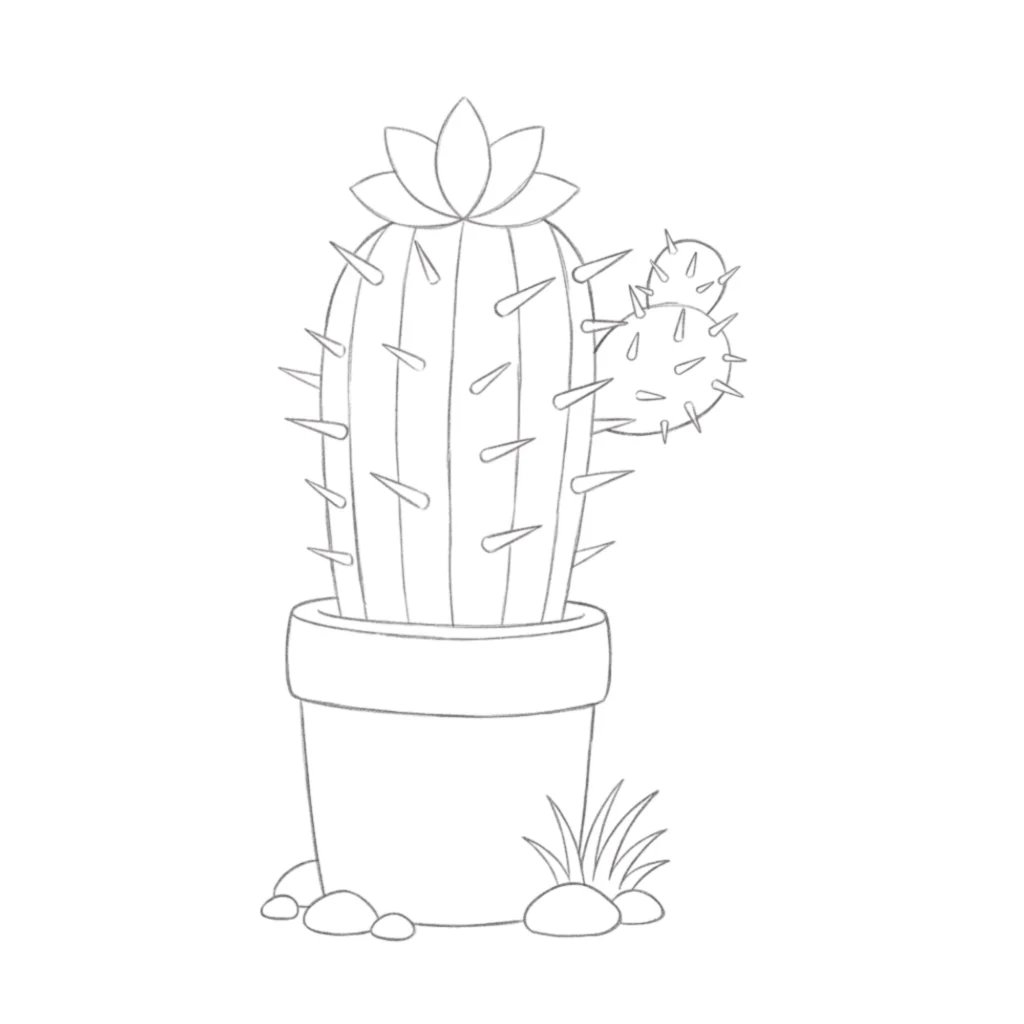 Blooming Cactus