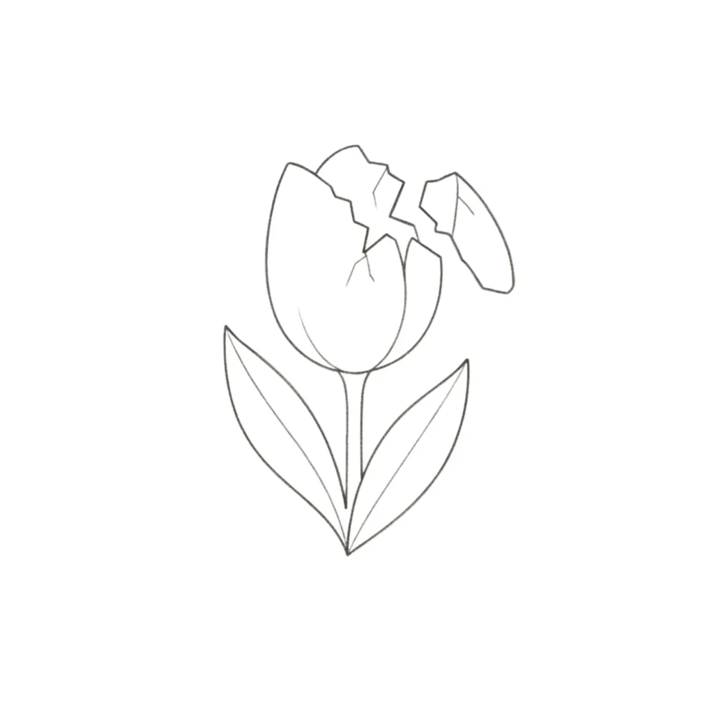 Broken Tulip