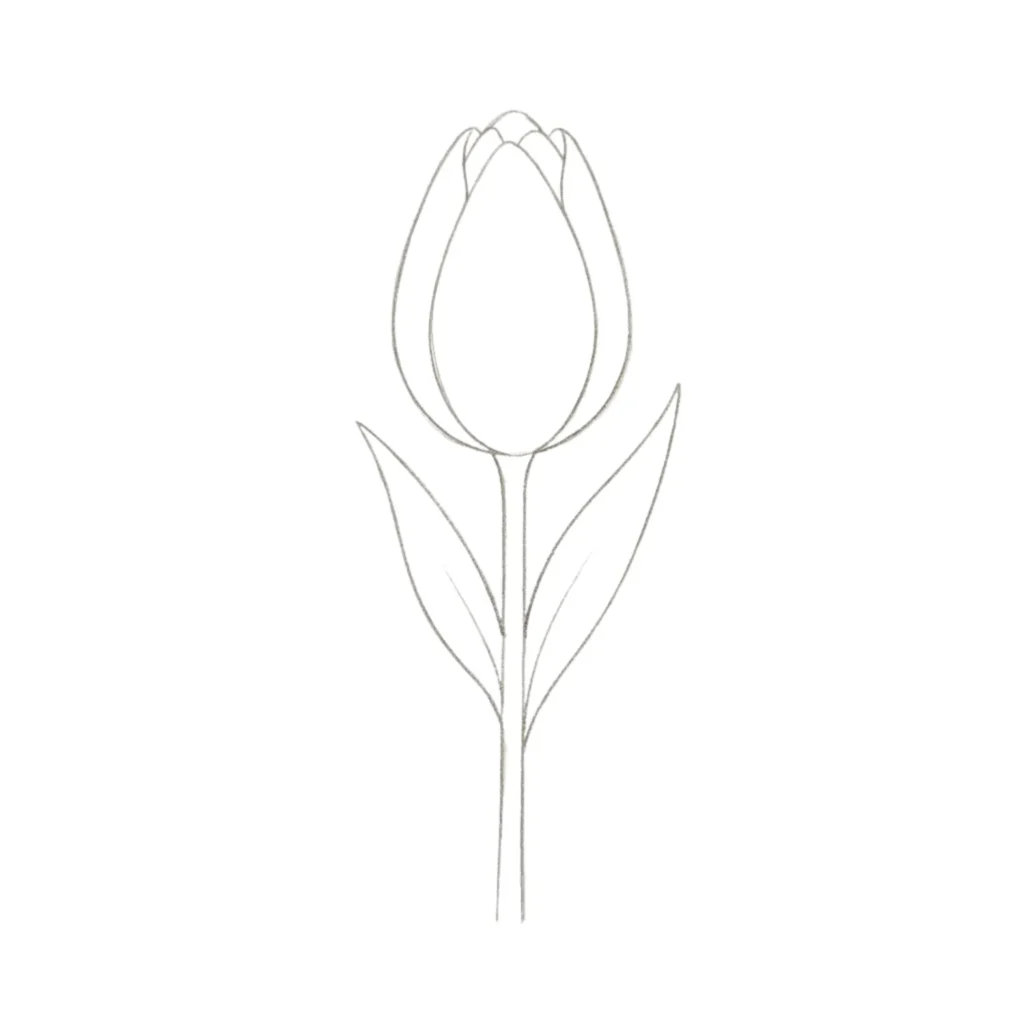 Close Tulip