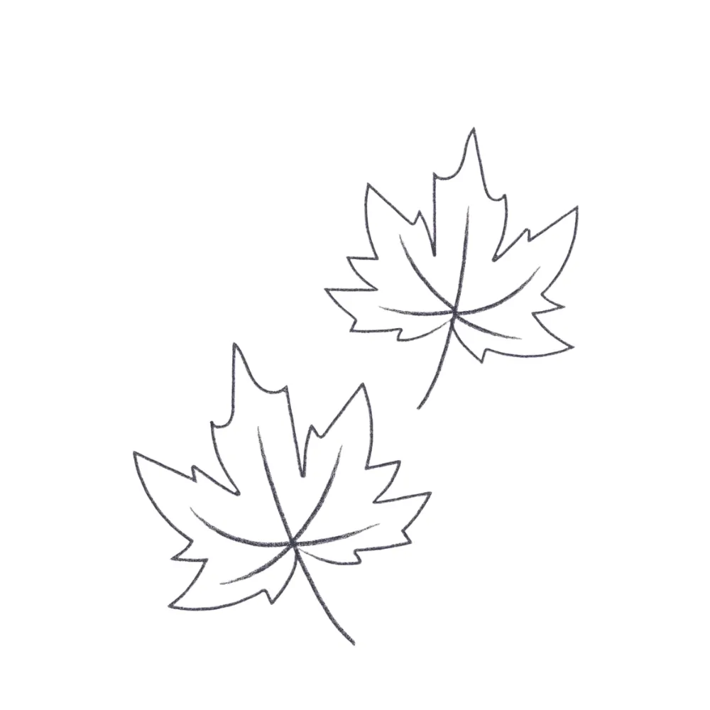 Fall Leaf in Air