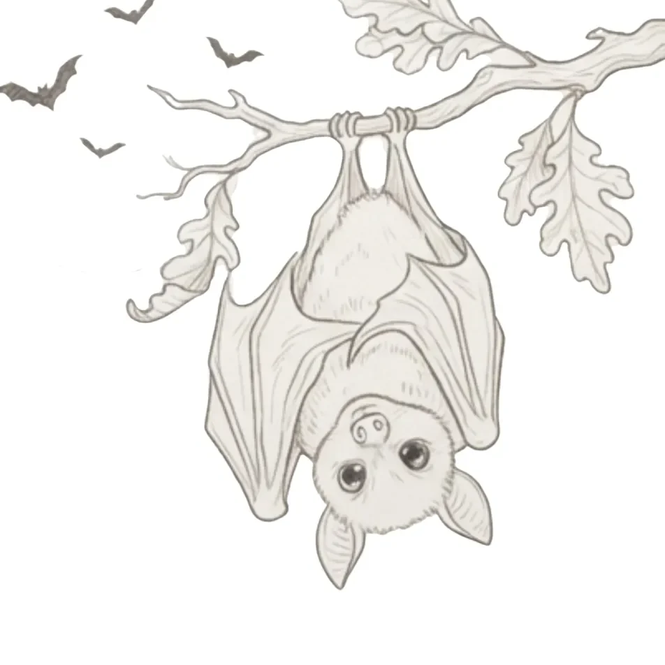 Halloween Bat Fall Drawing