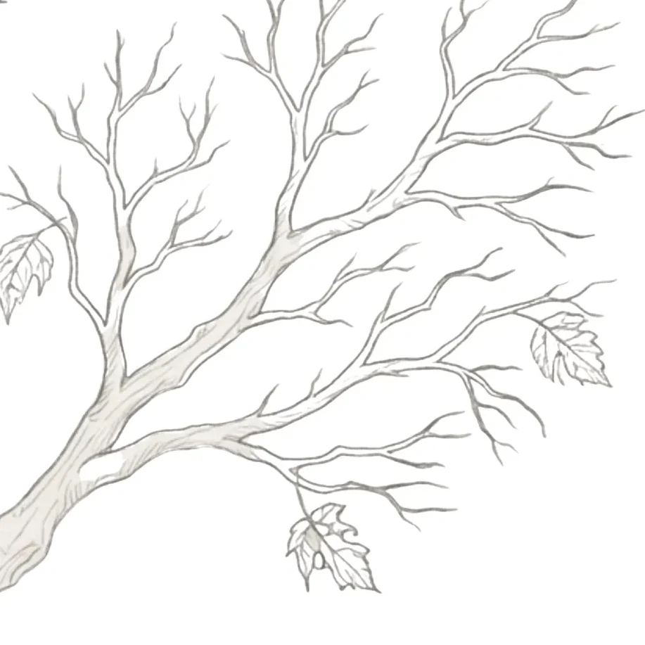 Leaf Fall Drawing