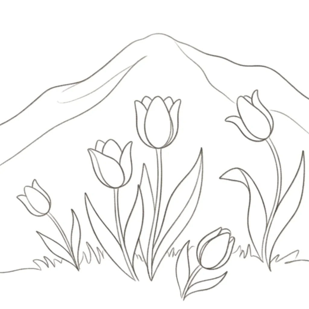 Mountain Tulips