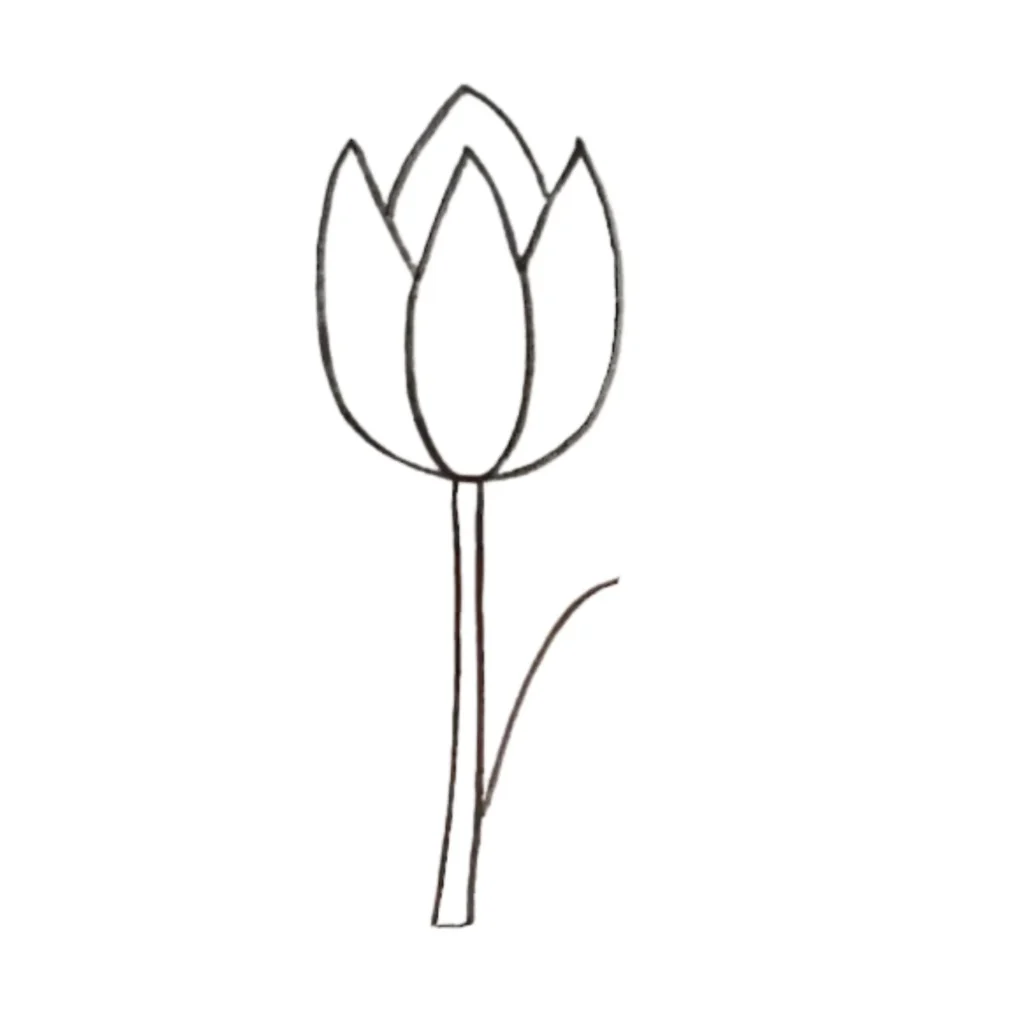 Open Tulip