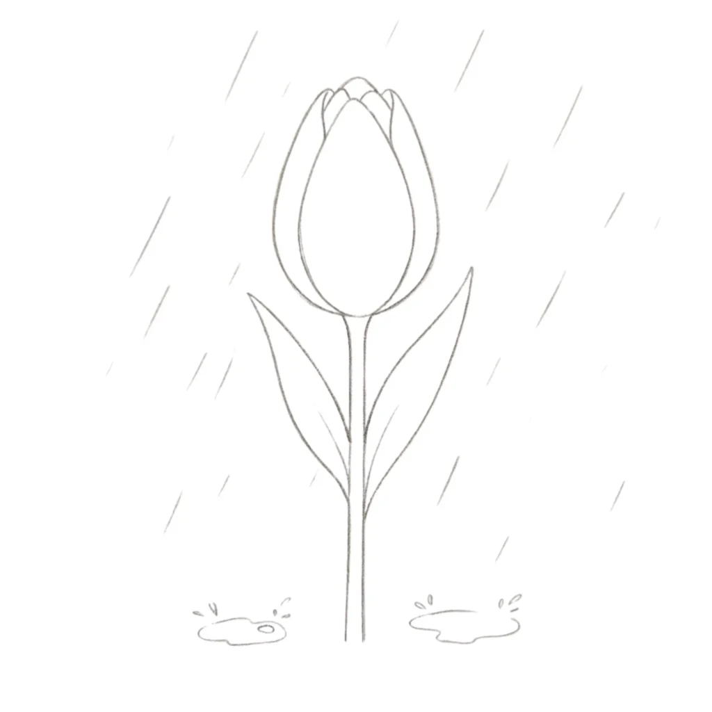 Tulip in Rain