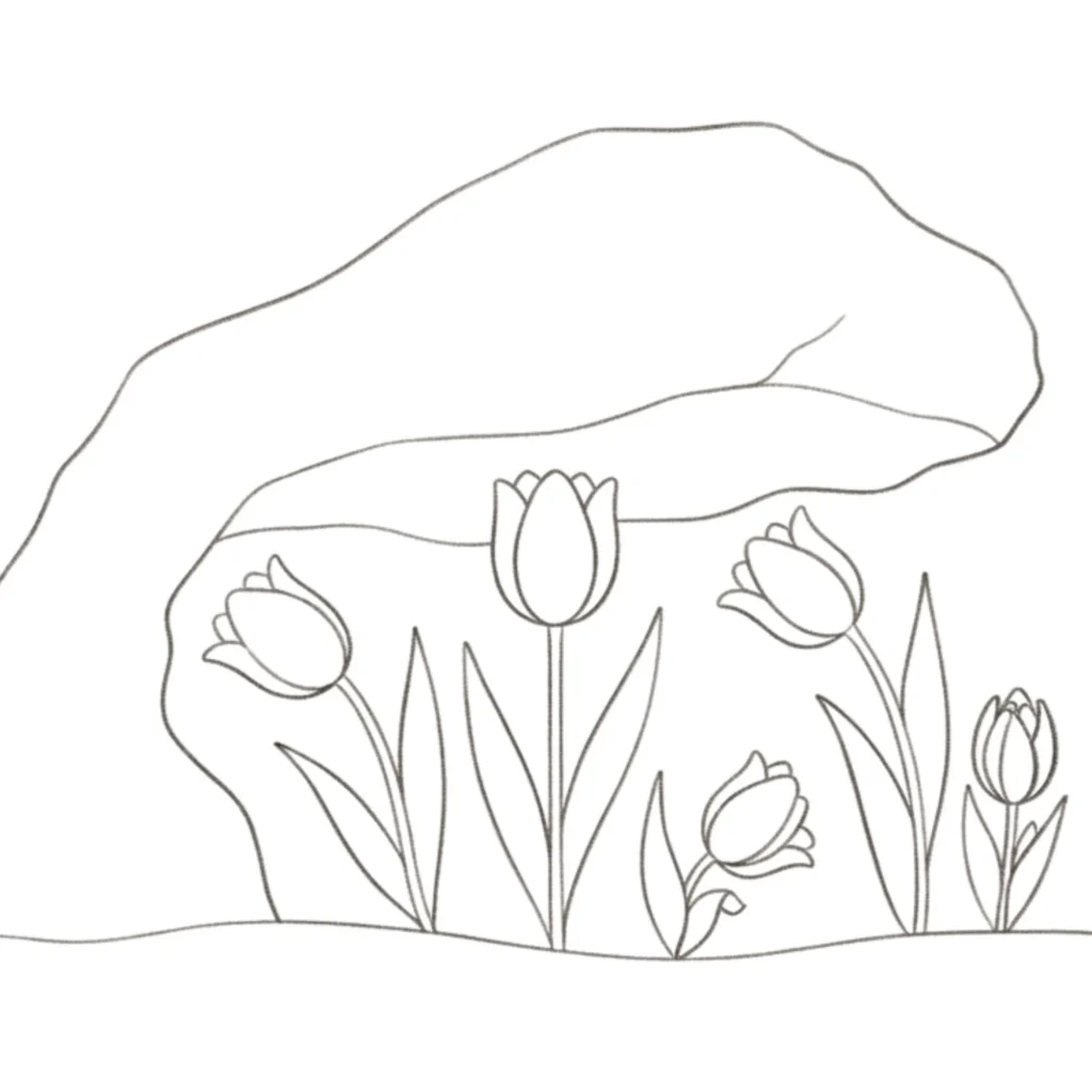 Tulips under Rock