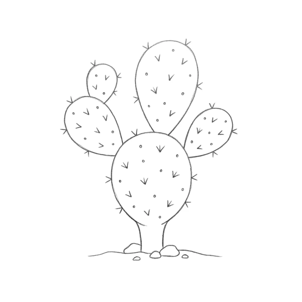 Prickly Pear Cactus Drawing